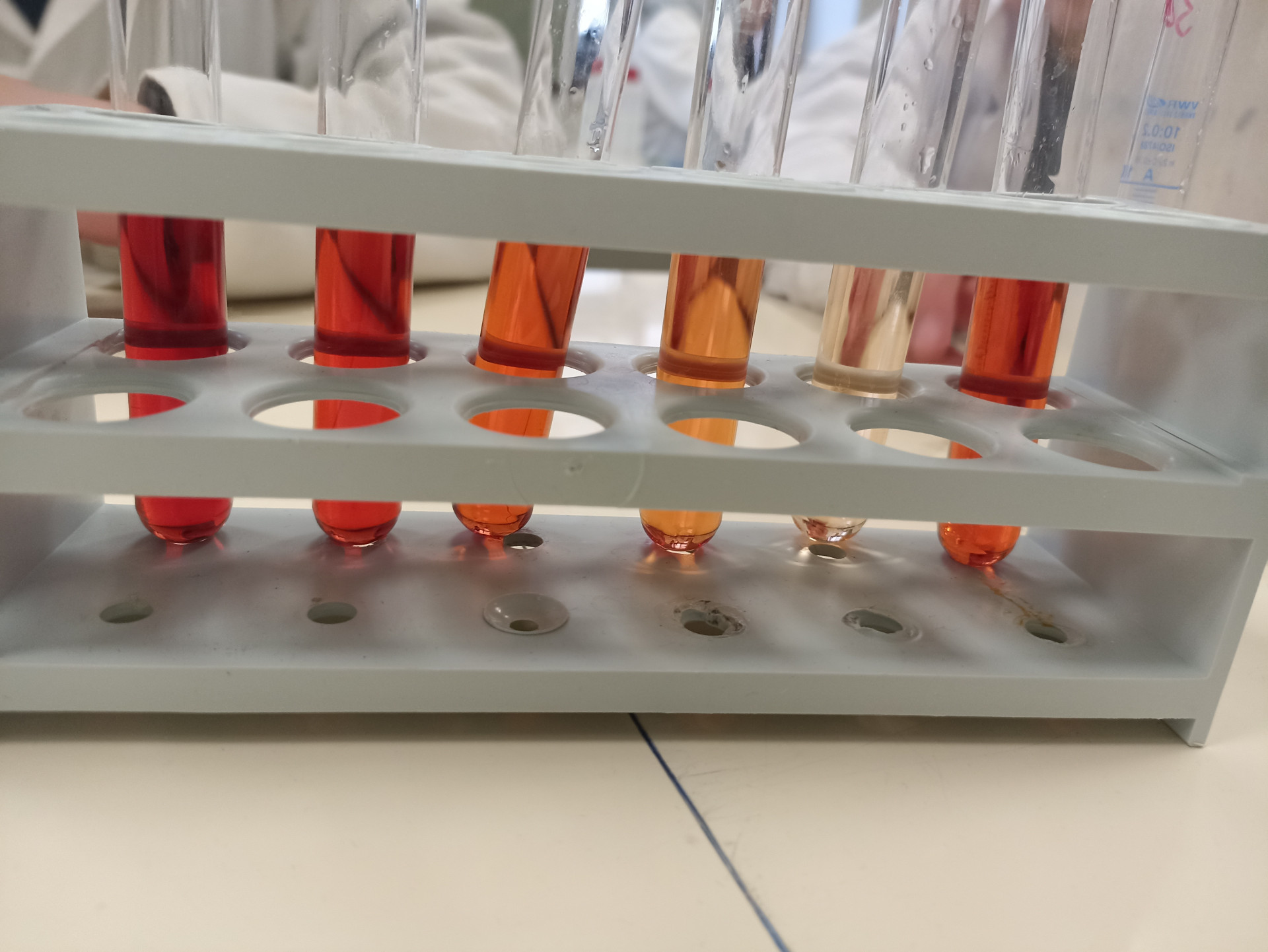 Sikeresen zárultak az idei Pont Szakkörök